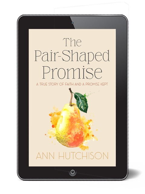 Introducing Ann’s New Book