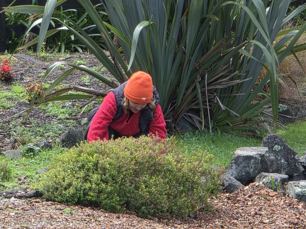 Ann garden
